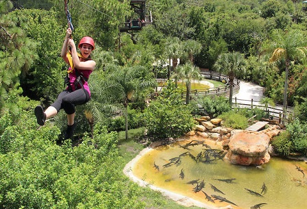 35 Best Things to Do in Orlando Besides Theme Parks