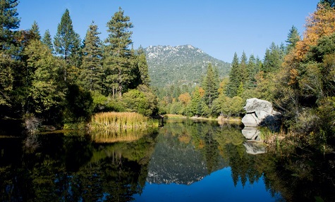 Top 15 Things to Do in Idyllwild California