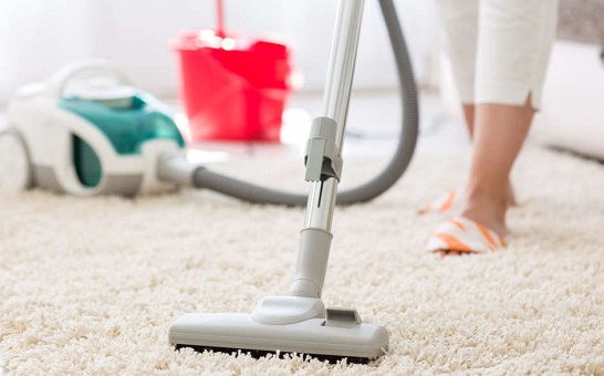 Steps to Professional Carpet Cleaning